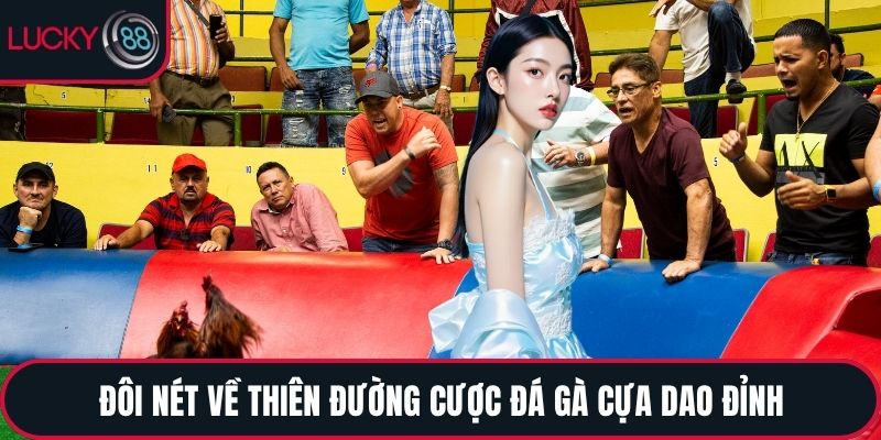 Đôi nét về thiên đường cược đá gà cựa dao đỉnh