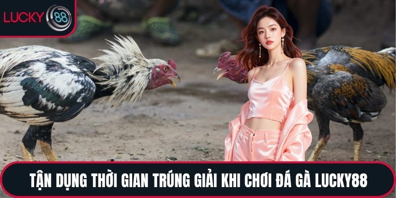 Tận dụng thời gian trúng giải khi chơi đá gà LUCKY88